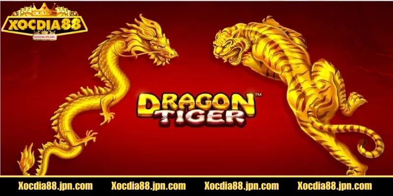 Giao diện trực quan giúp chơi Rồng Hổ Xocdia88 dễ dàng