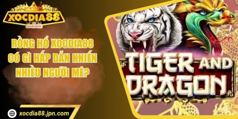 Rồng Hổ Xocdia88 Có Gì Hấp Dẫn Khiến Nhiều Người Mê? 5 Rồng Hổ Xocdia88 Có Gì Hấp Dẫn Khiến Nhiều Người Mê?